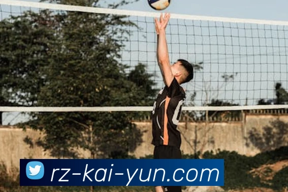 开云app服务体系